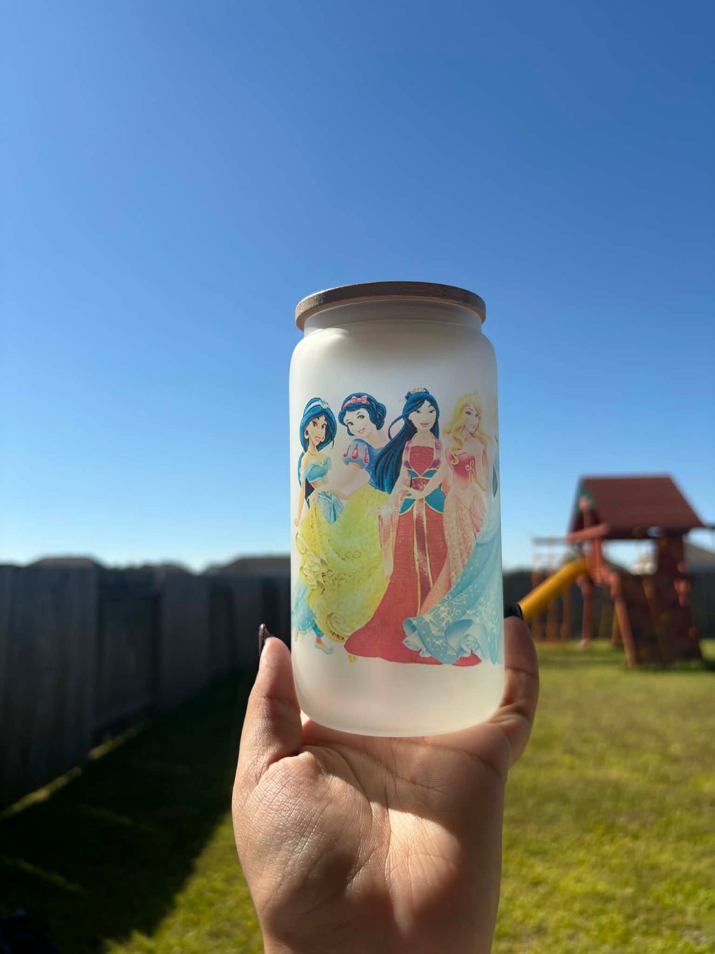 Princess Frosted Glass Cup